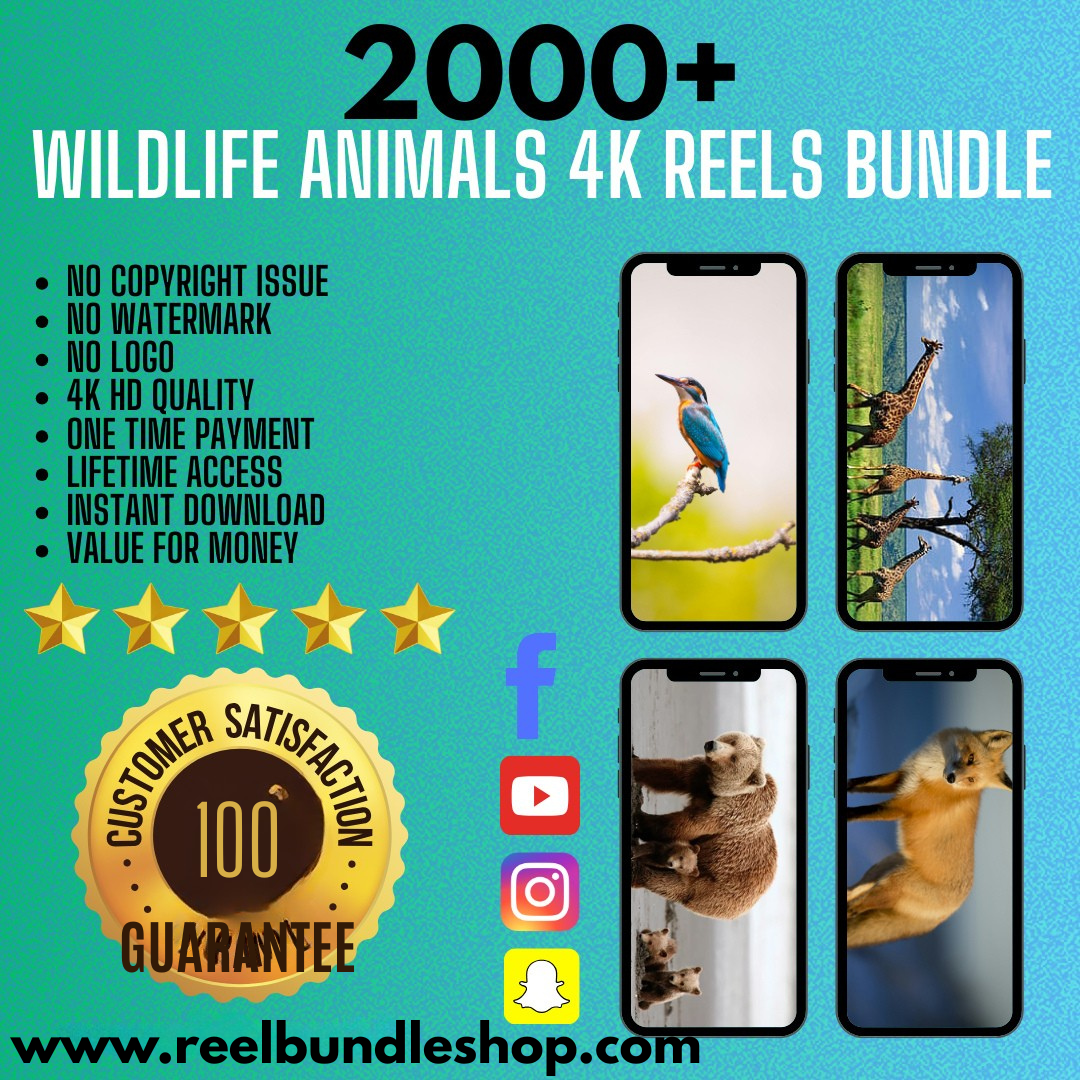 2000+ Wildlife Nature Reels Bundle
